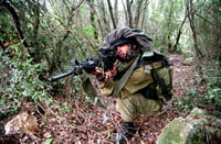מפקד אגוז על החייל שנשקו נחטף: 'לא יכול להיות לוחם'