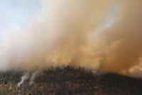 במקביל לשריפה בירושלים: מספר שריפות פרצו בשומרון