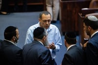ח"כ האוזר במליאה