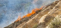 שריפה בהר גילה: ציר וואלג'ה נחסם לתנועה