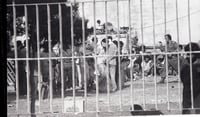 'חצר משחקים': סרט חדש על פרשייה יוצאת דופן בלבנון