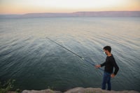 ממשיכה להתמלא: עלייה נוספת במפלס הכנרת