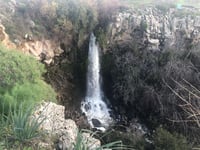 צפו: התמונות המרהיבות של השלג והזרימות בצפון