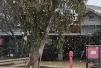 מרהיב: שלג כבד יורד כעת בצפון רמת הגולן