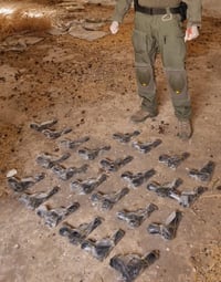 סוכלה הברחת עשרות כלי נשק מירדן