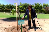 היום בהיסטוריה: 400,000 יהודי רומניה ניצלים ממוות