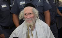 אליעזר ברלנד (צילום: יונתן זינדל, פלאש 90)