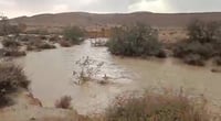 תיעוד: נחלי הדרום עלו על גדותיהם; כבישים נסגרו לתנועה