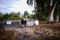 עגלת תינוק נפלה לאגם בפארק הירקון