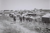 היום בהיסטוריה: 110 שנה להקמת קיבוץ רוחמה