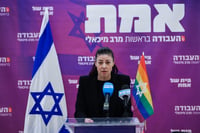 מיכאלי נגד הרצוג: לא נסכים למו"מ על הדמוקרטיה