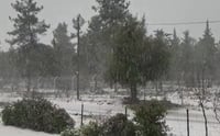 שלג כבד נערם:אלו היישובים בהם אין היום לימודים