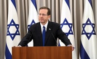 הנשיא הרצוג