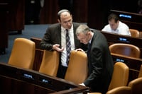 הצבעה בצל המחאה: ביטול עילת הסבירות מגיע לכנסת