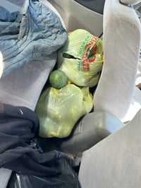 ערבי גנב 192 ק"ג אבוקדו ונתפס רק אחרי מרדף