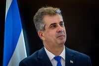 שר החוץ אלי כהן
