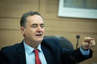 צעד חשוב בדרך להשבת החטופים, כץ