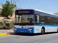 התייבשתם בתחנה? 1 מכל 6 אוטובוסים לא יצא לדרך