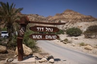 בן ה-8 שניצל מהאסון בנחל דוד: "חטפתי סלע בראש"