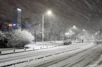 החורף הקר ביותר מזה עשור: מצב חירום הוכרז במספר חלקים בארה"ב