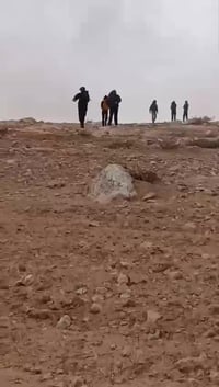 בפעם השנייה בתוך יומיים: ערבים תקפו רועי צאן בהר חברון