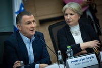 אדלשטיין: "שכחו שהיועמ"שית לא אמורה להתערב בעבודת הכנסת"