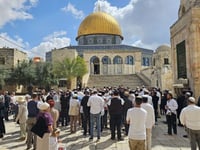 יהודים בהר הבית