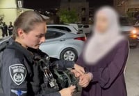 "אין טהור מדם השהידים": תושבת הגליל הסיתה ונעצרה. צפו