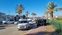 הזירה בתל שבע |