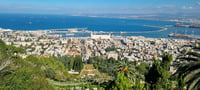 חיפה מלמעלה ועד הים: טיול קסום של נוף, בוטניקה והדר