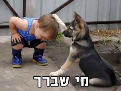 מצעד דוסים מצייצים 50: הממים הכי טובים של השבוע