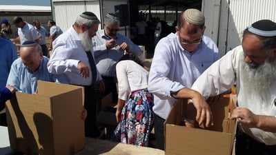 חברי סיעת הבית היהודי ארזו חבילות "קמחא דפסחא"