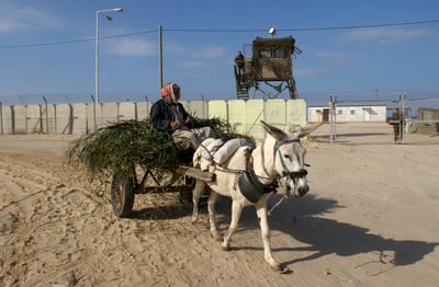 התקשורת מניחה מראש שהערבים הם נחותים