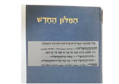 לפי מילון אבן שושן, הרב יגאל לוינשטיין צודק