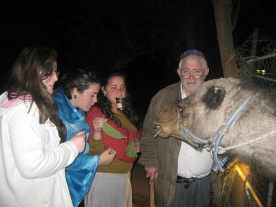 טרגדיה במצפה יריחו: האב השכול התאבד על קבר בנו