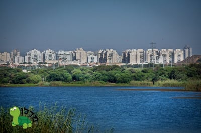 שברו שיא: השכונות עם התשואה הגבוהה ביותר למשקיעים בשנה האחרונה