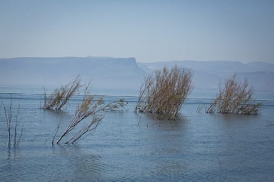 כנרת. אילוסטרציה
