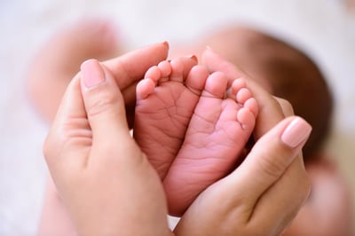 החיים מבפנים: עולמן של המיילדות