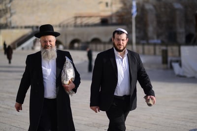 "חש בוז לדברי ליברמן, צה"ל לא שייך לאבא שלו"