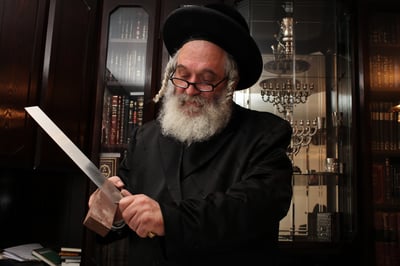 אחרי חוק השואה, הצעת חוק לאסור שחיטה בפולין