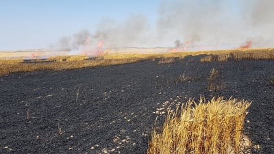 טרור העפיפונים: 100 דונם חיטה עלה באש
