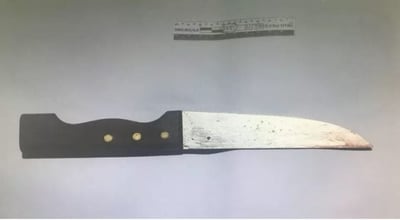 הסכין ששימשה את המחבל (קרדיט: דוברות משטרת ישראל)
