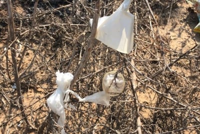הגננת: "אמרנו שיר למעלות ופינינו את כל הילדים"