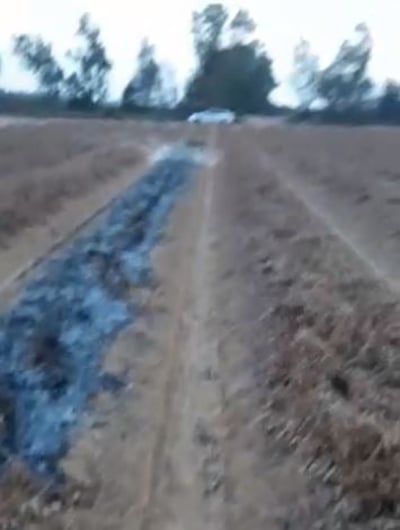 בשקט בשקט: טרור הבלונים נמשך גם היום. צפו