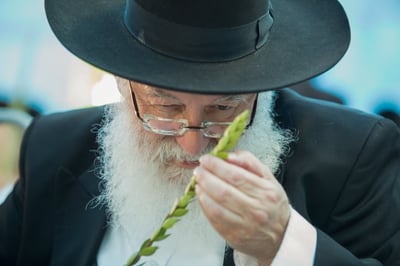שני סיפורים קטנים- גדולים על ר' אריה לוין וחג הסוכות