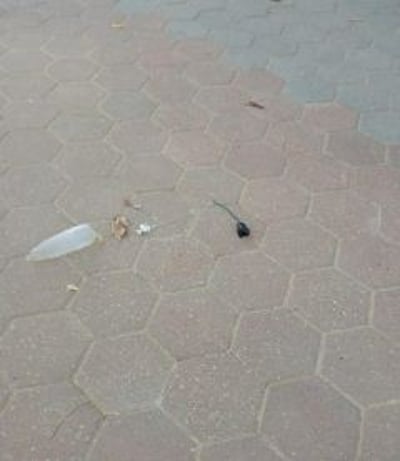 בלון תבערה נחת בבית ספר במועצה אזורית אשכול