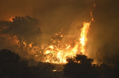חשש בארה"ב: שריפות הענק יגיעו ללוס אנג'לס