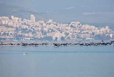 דאגה: למרות הגשמים, מפלס הכנרת בקושי עולה