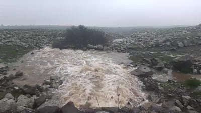 עוד עלייה נאה: מפלס הכנרת בדרך לקו האדום