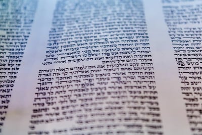 תורה ששרה בשני קולות/ הרב אלקנה שרלו
